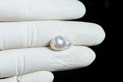 Venezuela Pearl (Moti) 11.07 Carats