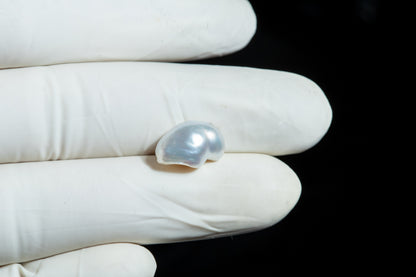 Venezuela Pearl (Moti) 6.58 Carats
