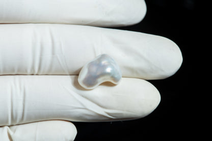 Venezuela Pearl (Moti) 11.86 Carats