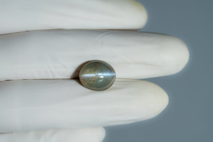 Natural Cat'S Eye (Lehsuniya) 12.01 Carats