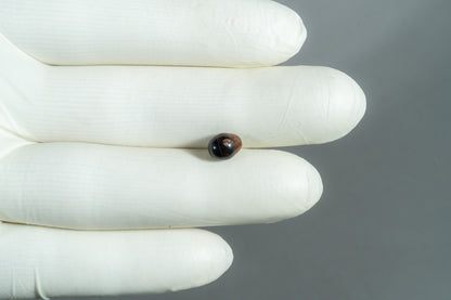 Natural Basra Pearl (Moti) 2.19 Carats