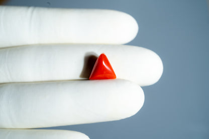Natural Italian Red Coral (Moonga) 5.15 Carats