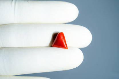 Natural Italian Red Coral (Moonga) 4.95 Carats