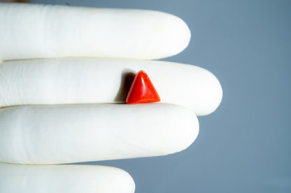 Natural Italian Red Coral (Moonga) 5.04 Carats