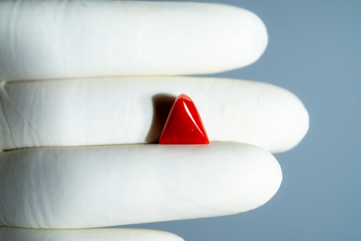 Natural Italian Red Coral (Moonga) 5.79 Carats
