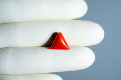 Natural Italian Red Coral (Moonga) 5.94 Carats