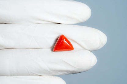 Natural Italian Red Coral (Moonga) 7.05 Carats