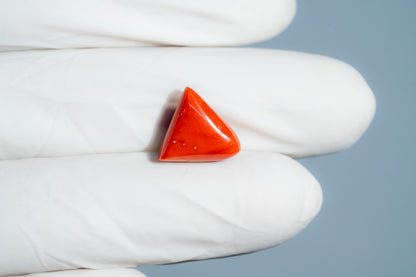 Natural Italian Red Coral (Moonga) 6.75 Carats