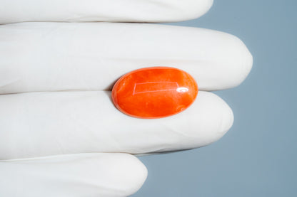 Japanese Red Coral (Moonga) 11.49 Carats