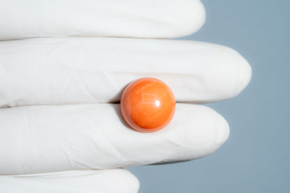 Japanese Red Coral (Moonga) 13.48 Carats