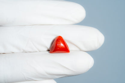 Natural Italian Red Coral (Moonga) 6.28 Carats