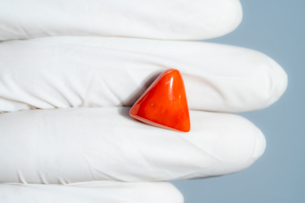 NATURAL RED CORAL (Moonga) 13.83 CARATS