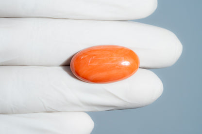 Japanese Red Coral (Moonga) 23.92 Carats
