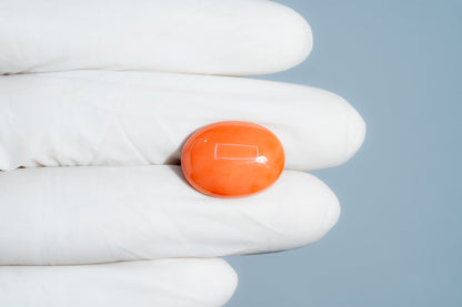 Japanese Red Coral (Moonga) 13.83 Carats