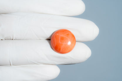 Japanese Red Coral (Moonga) 14.79 Carats
