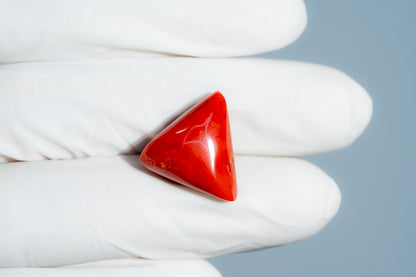 Natural Italian Red Coral (Moonga) 16.79 Carats
