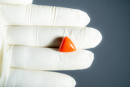 Natural Italian Red Coral (Moonga) 9.02 Carats