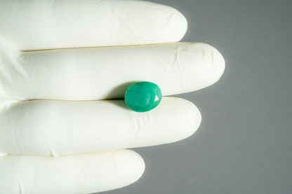 Natural Zambian Emerald (Panna) 6.89 Carats