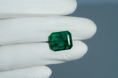 Natural Zambian Emerald (Panna) 9.00 Carats