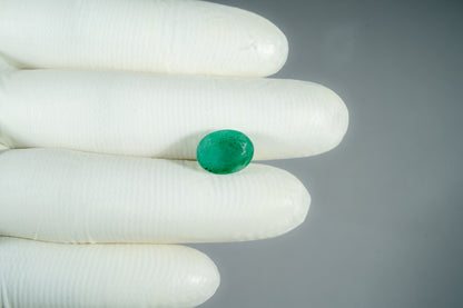 Natural Zambian Emerald (Panna) 5.26 Carats