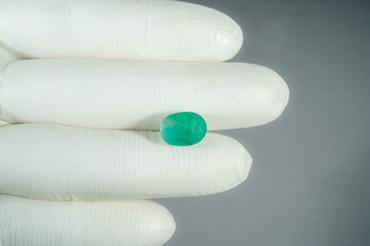 Natural Zambian Emerald (Panna) 5.87 Carats