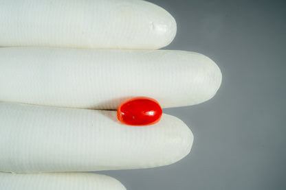 Natural Italian Red Coral (Moonga) 7.88 Carats