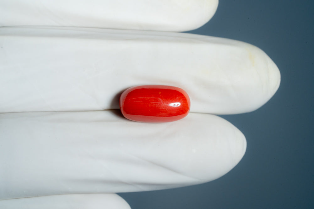 NATURAL RED CORAL (Moonga) 7.43 CARATS