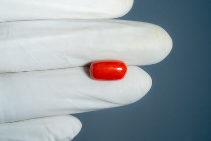 Natural Italian Red Coral (Moonga) 6.77 Carats
