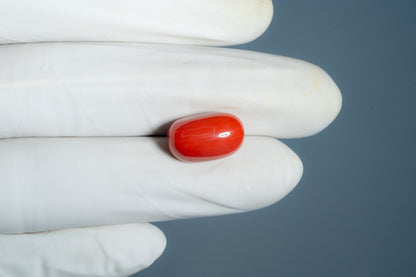 Natural Italian Red Coral (Moonga) 11.54 Carats