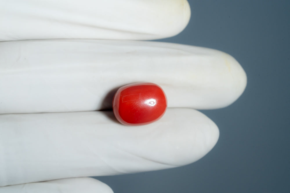 Natural Italian Red Coral (Moonga) 12.25 Carats