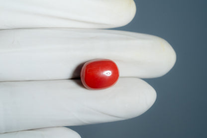 Natural Italian Red Coral (Moonga) 12.25 Carats