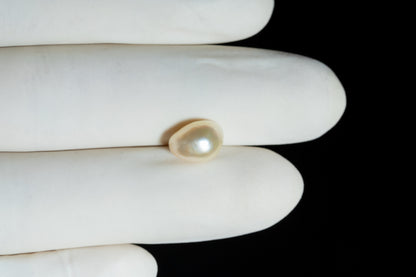 Natural Venezuela Pearl 3.72 Carats