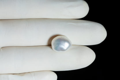 Natural Venezuela Pearl 12.96 Carats