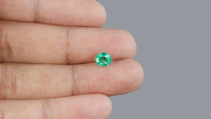 Natural Zambian Emerald (Panna) 1.27 Carats