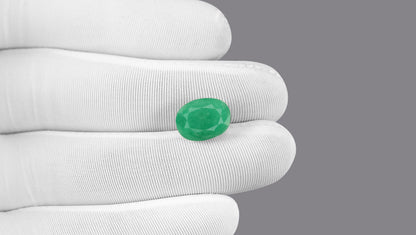 Natural Zambian Emerald (Panna) 7.53 Carats