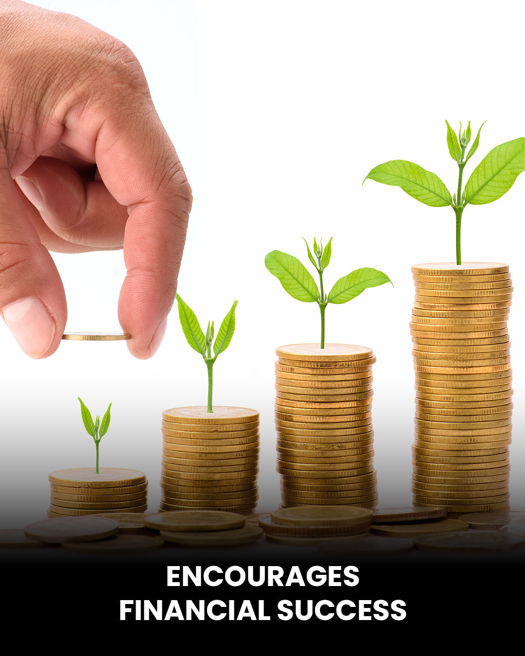 Natural Ruby (Manik) reel