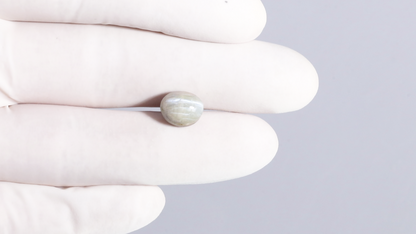 Natural Cat'S Eye (Lehsuniya) 7.06 Carats