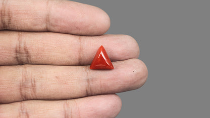Natural Italian Red Coral (Moonga) 5.12 Carats