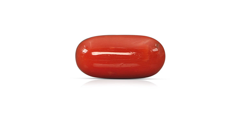 Natural Italian Red Coral (Moonga) 14.19 Carats