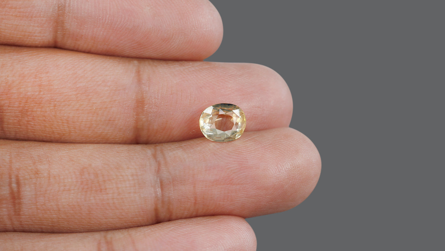 Natural Pitambari 2.65 Carats