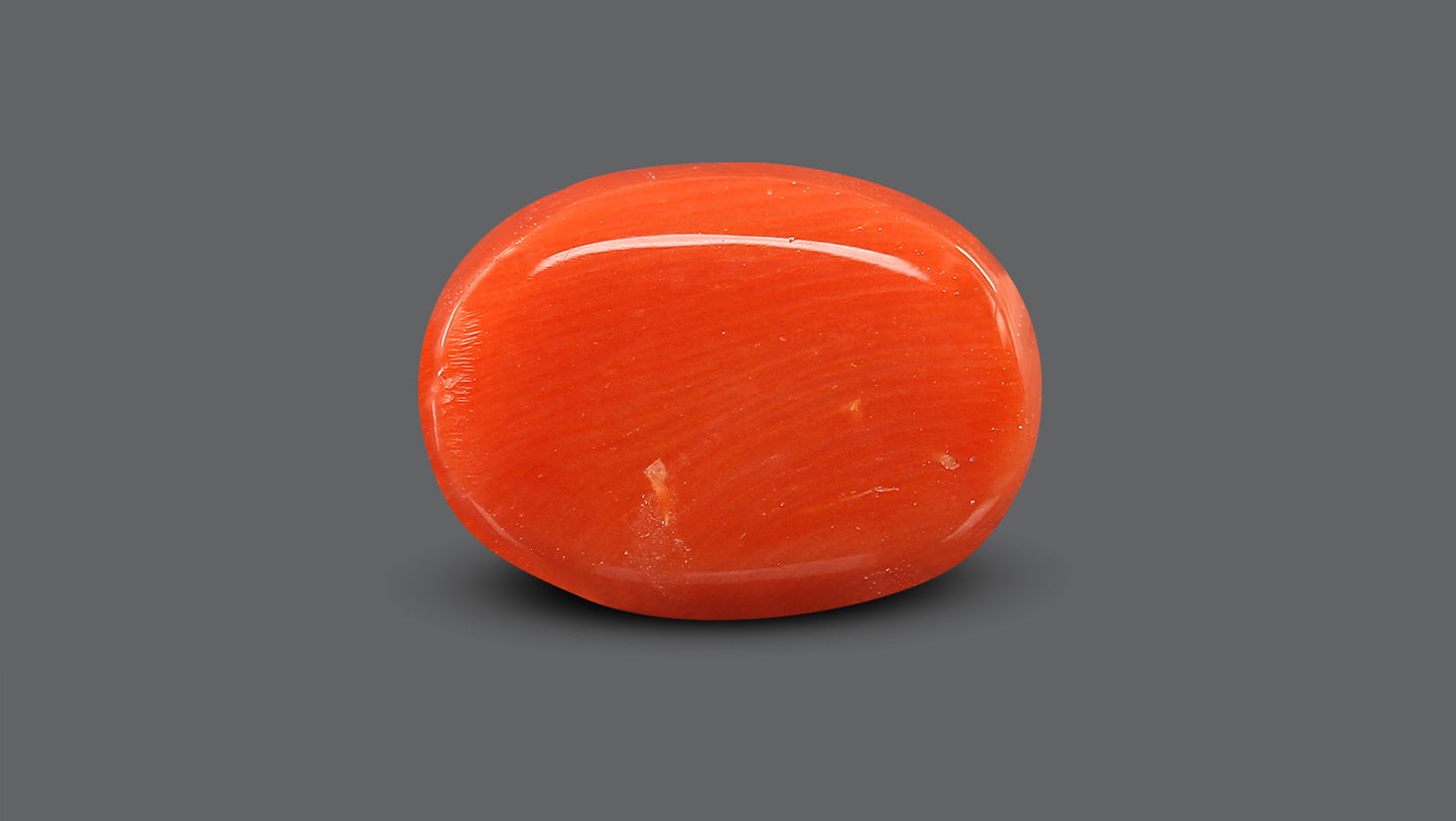Natural Italian Red Coral (Moonga) 10.78 Carats