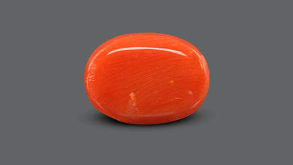 Natural Italian Red Coral (Moonga) 10.78 Carats