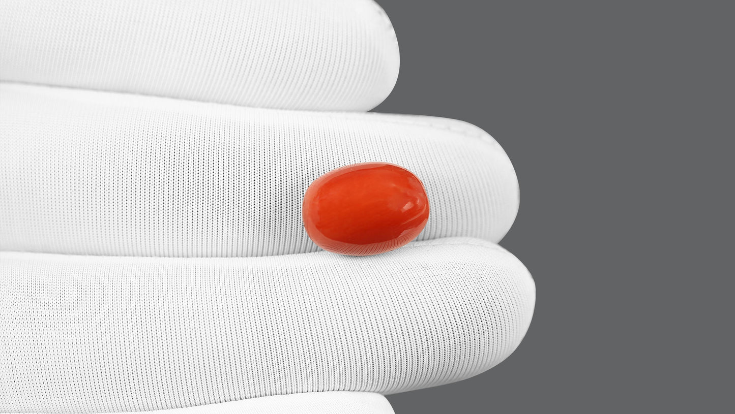 Natural Italian Red Coral (Moonga) 10.78 Carats
