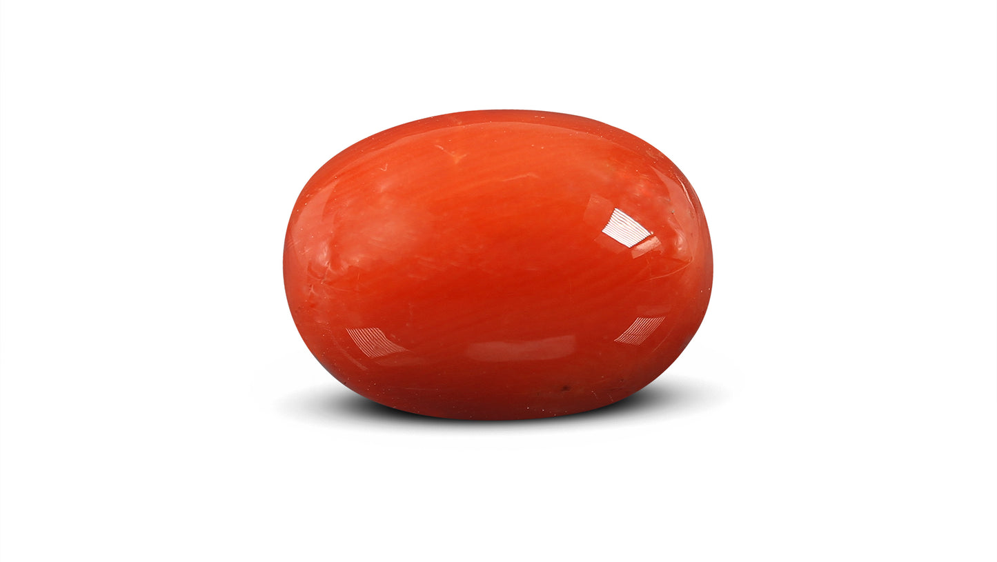 Natural Italian Red Coral (Moonga) 10.78 Carats