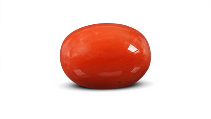 Natural Italian Red Coral (Moonga) 10.78 Carats