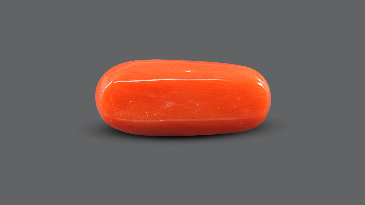 Natural Italian Red Coral (Moonga) 10.05 Carats