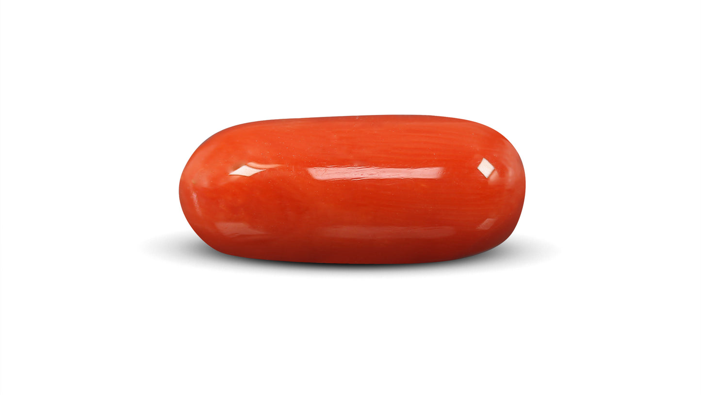 Natural Italian Red Coral (Moonga) 10.05 Carats