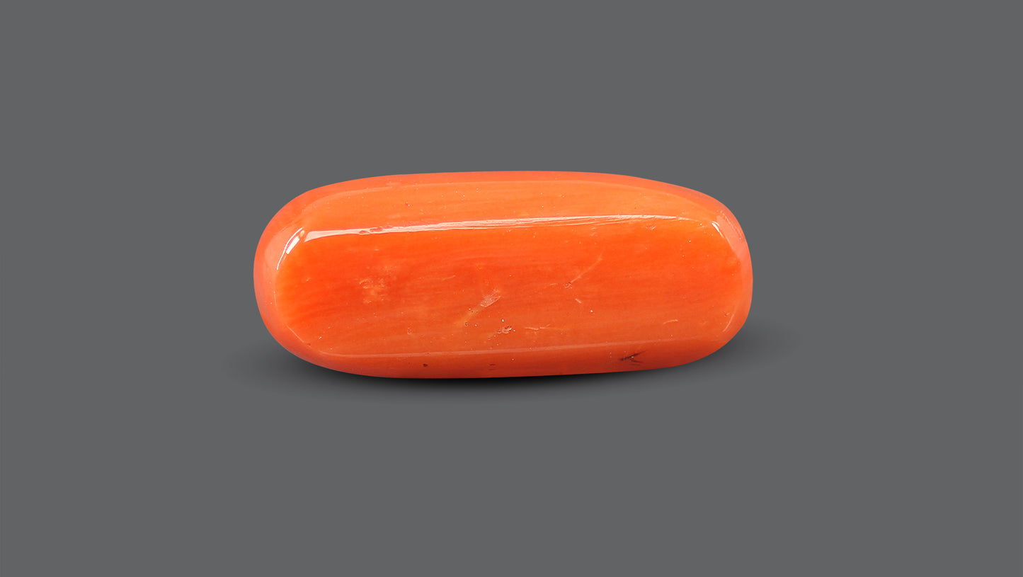 Natural Italian Red Coral (Moonga) 9.64 Carats