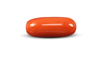 Natural Italian Red Coral (Moonga) 9.64 Carats