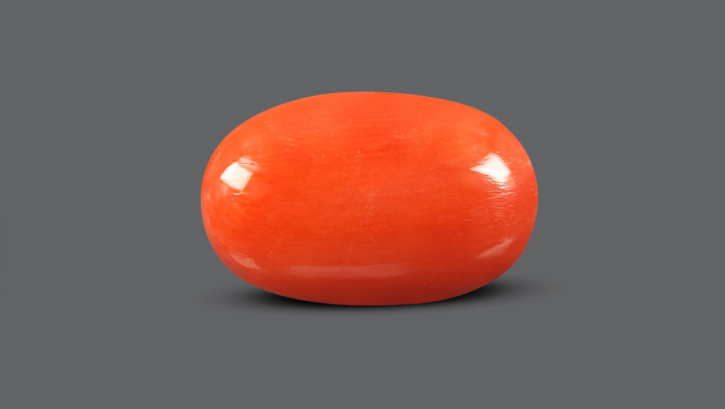 Natural Italian Red Coral (Moonga) 12.56 Carats